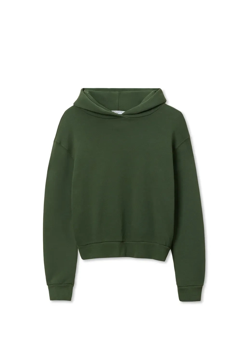 fern_green